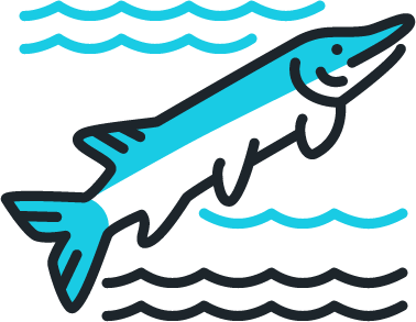Pike Fish